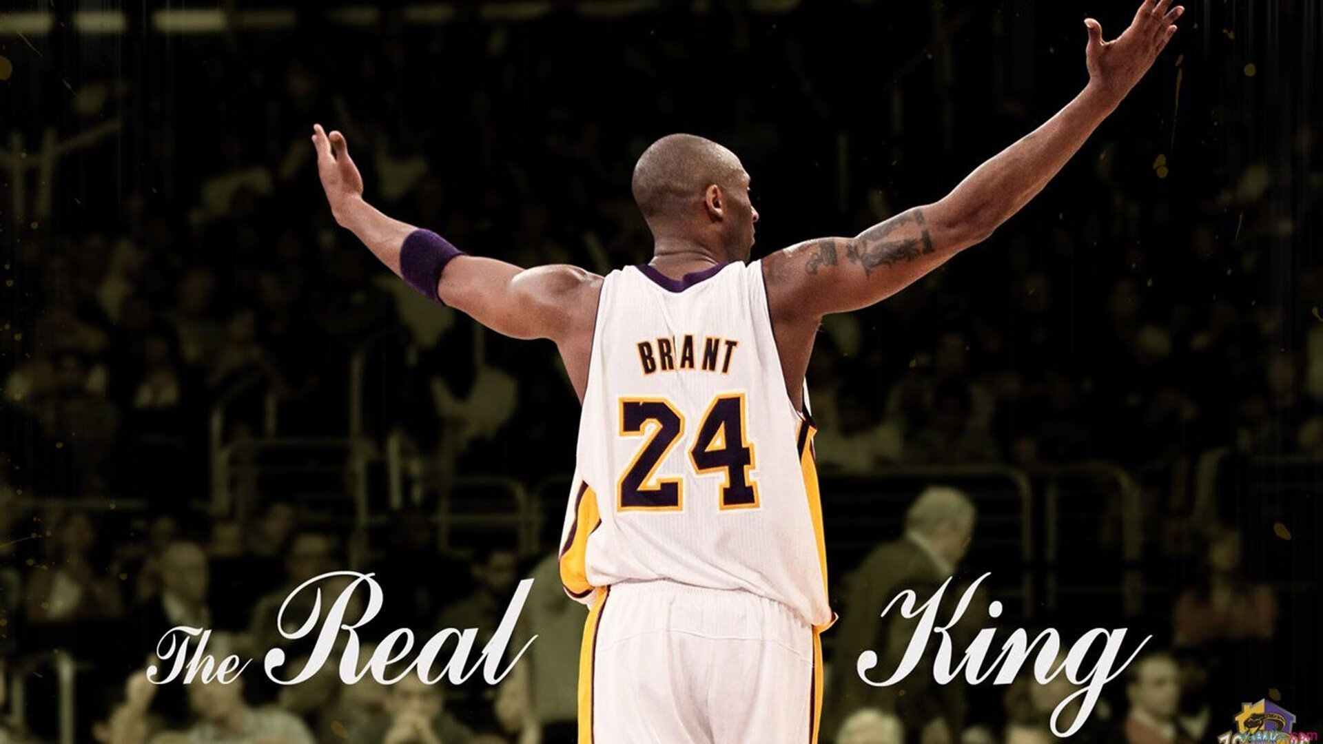 刷新纪录引发热议!Ming在勇士比赛中险胜,观众掌声雷动